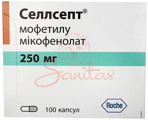 Селлсепт капс. 250мг №100 (10х10)                                               