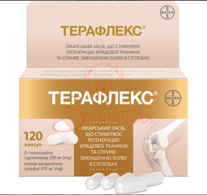 Терафлекс Адванс капс. №120                                                     