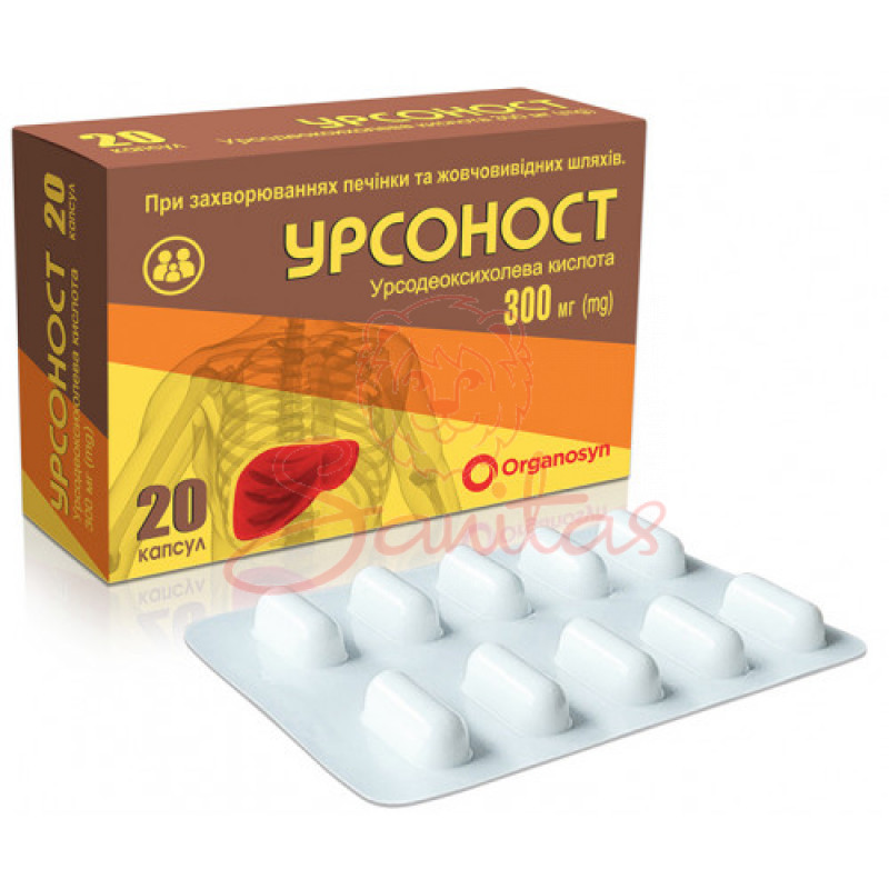 Урсоност капс. 300мг №50 (10х5)                                                 