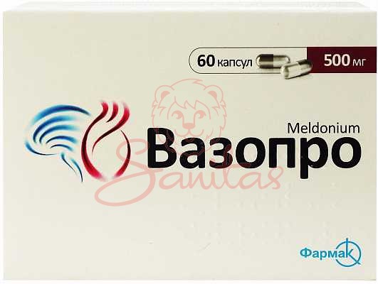Вазопро капс. 500мг № 60 (10х6)                                                 